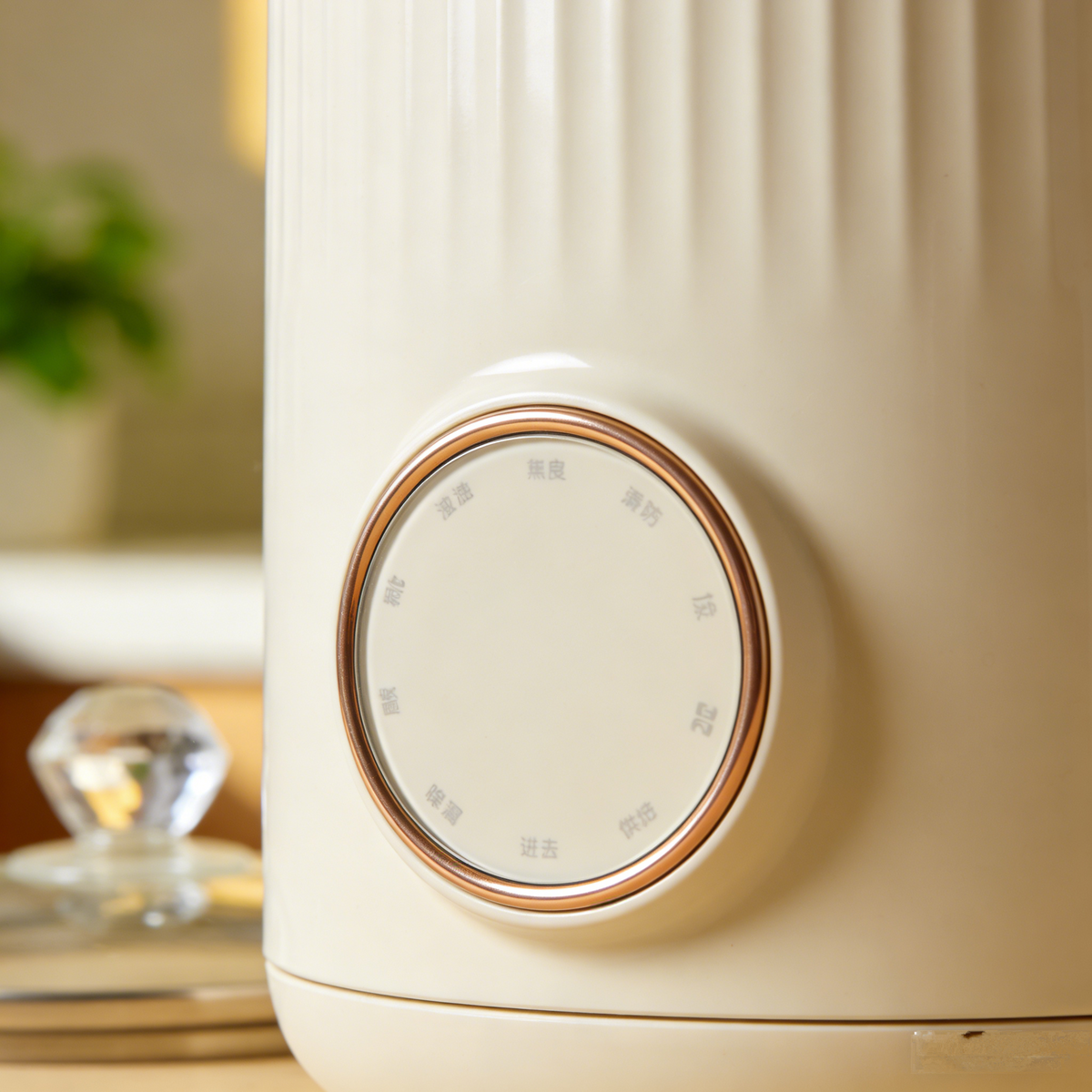 Elegant Frosted Glass Health Pot – 24H Keep Warm, Anti-Dry Burning, Multi-Functional for Nourishing Soup, Herbal Tea & Daily Healthy Living.🌻